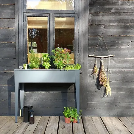 Wdech Wydech Semesterbostad