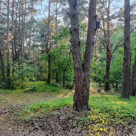 Wdech Wydech Semesterbostad *