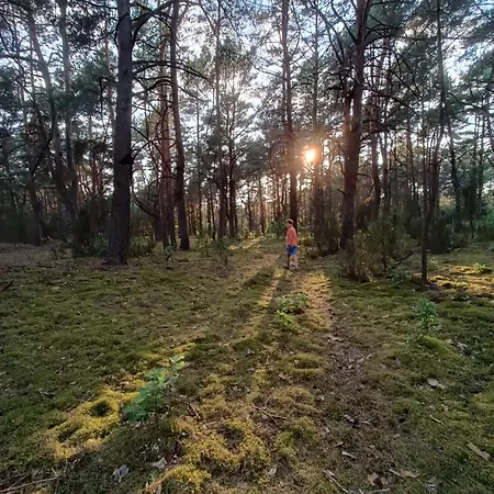 Wdech Wydech Ferienhaus