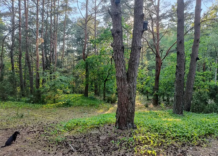 Wdech Wydech Prázdninový dům *