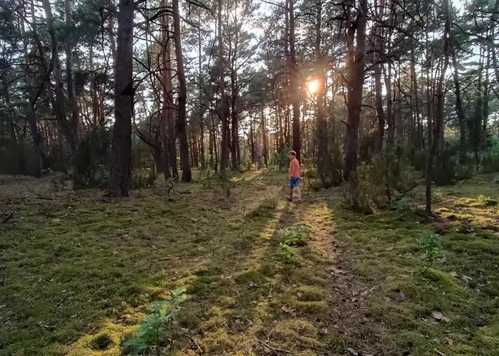 Wdech Wydech Vakantiehuis